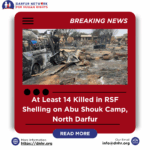 At Least 14 Killed in RSF Shelling on Abu Shouk Camp, North Darfur