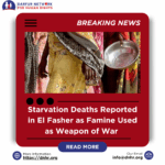 Starvation Deaths Reported in El Fasher as Famine Used as Weapon of War 