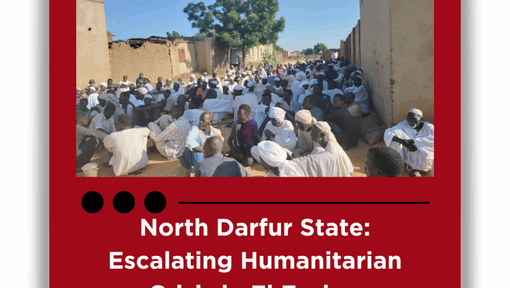North Darfur State: Escalating Humanitarian Crisis in El Fasher