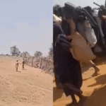 RSF Extortion and Sexual Violence Against Displaced Families Fleeing El-Fasher