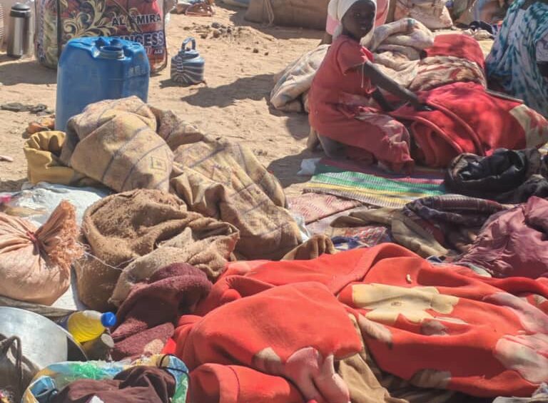 Ethnic Targeting and Forced Displacement