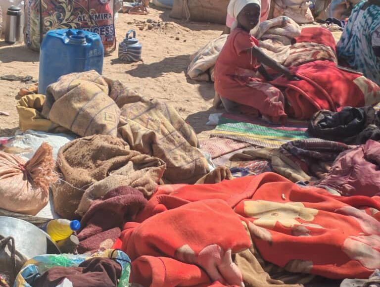 Ethnic Targeting and Forced Displacement