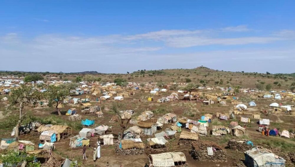 Urgent Humanitarian Needs Documented in New Southern IDP Camp, Central Darfur