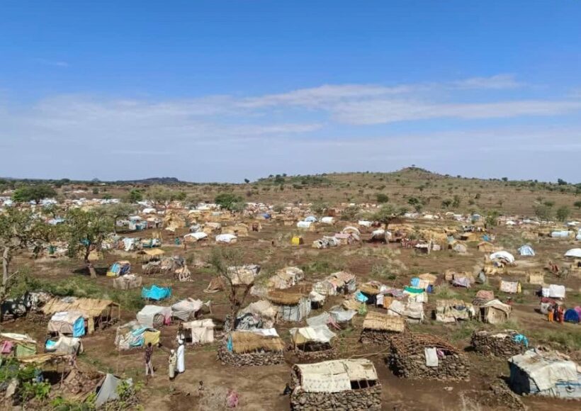 Urgent Humanitarian Needs Documented in New Southern IDP Camp, Central Darfur